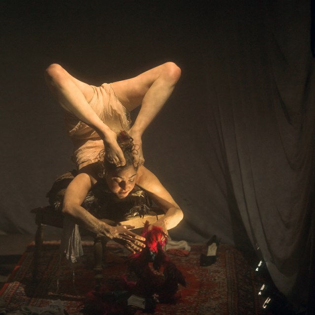 Sideshow Contortion Contortionists | SIDESHOW FREAKS