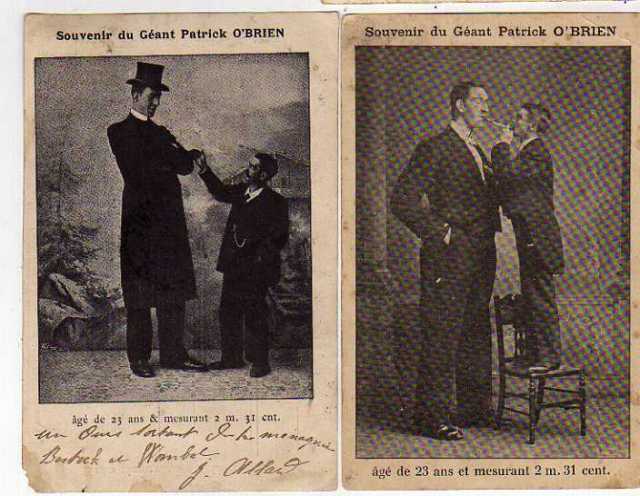 circus freak tallest man  Irish Giant