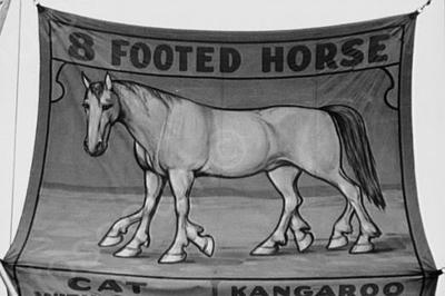 sideshow  8 footed horse