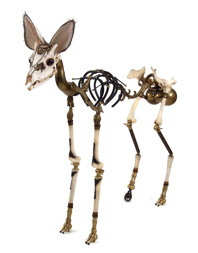 Sideshow Freaks Jessica Joslin artwork 3