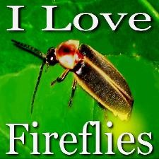 sideshow freaks - circus freaks sideshow circus  circus freaks Insects Firefly lighting bugs glow worms sideshow Third International Firefly Symposium opened in Gainesville, Florida  sideshow freaks